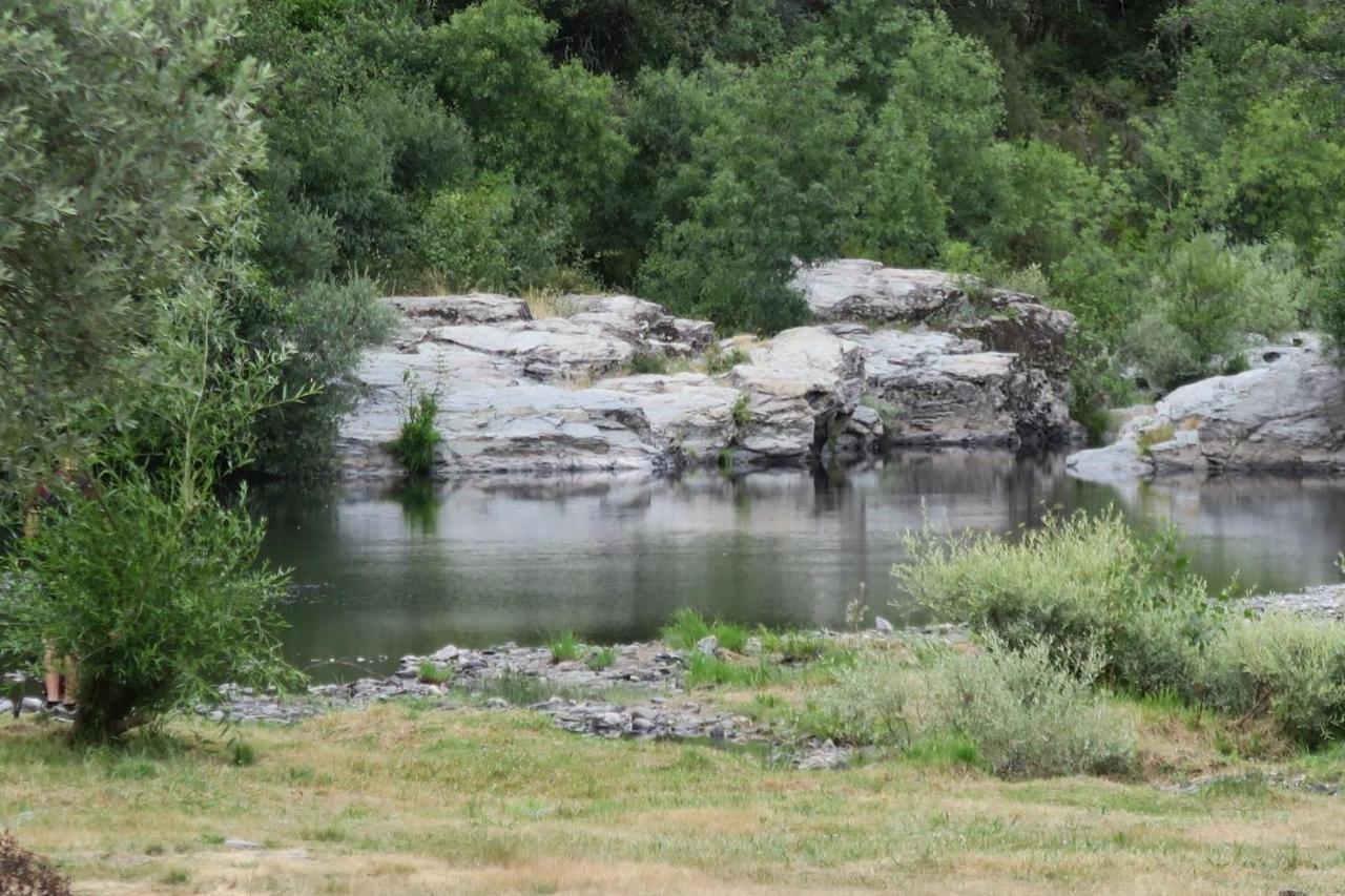 Parque Biologico De Vinhais Luaran gambar