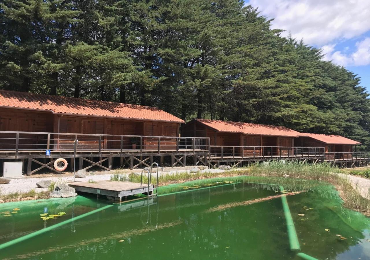 Parque Biologico De Vinhais Luaran gambar