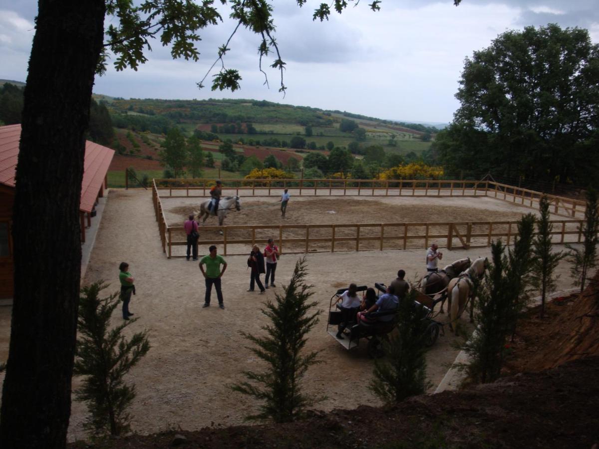 Parque Biologico De Vinhais Luaran gambar