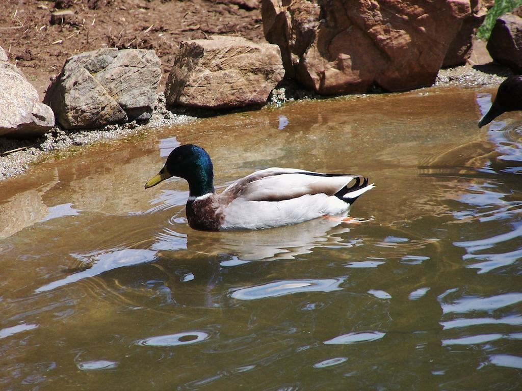 Parque Biologico De Vinhais Luaran gambar